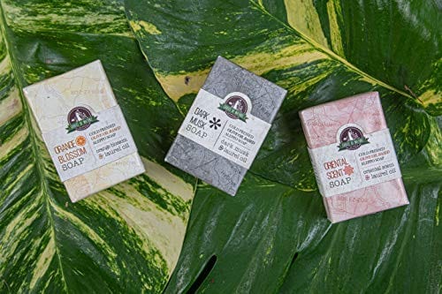Choice of Nature Jabón natural hecho a mano Método Aleppo, 125 g / 4.4 oz