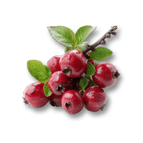 Ingredient image