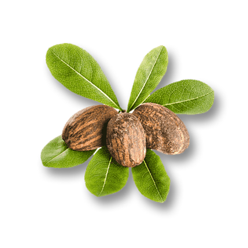 Ingredient image